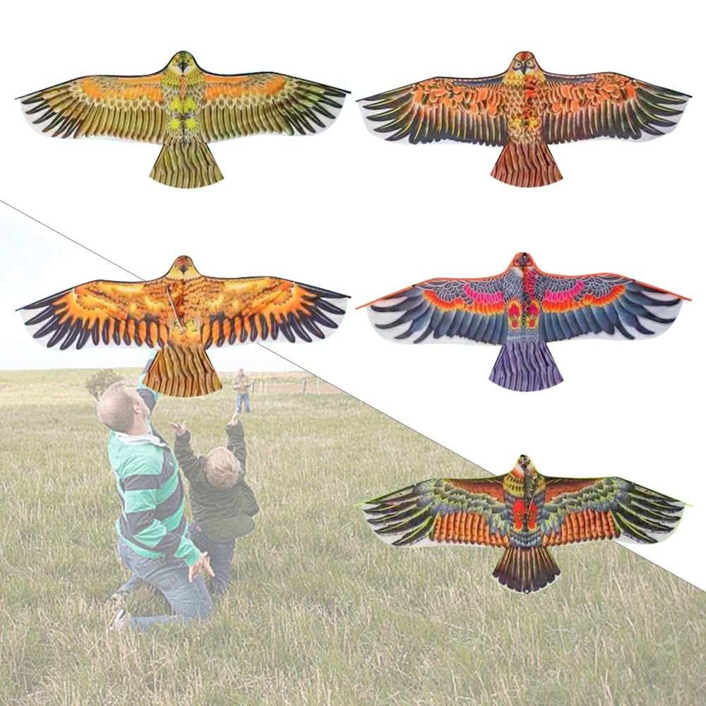 Плоский воздушный змей с орлом – обзор и цена Kids Outdoor Garden Toys